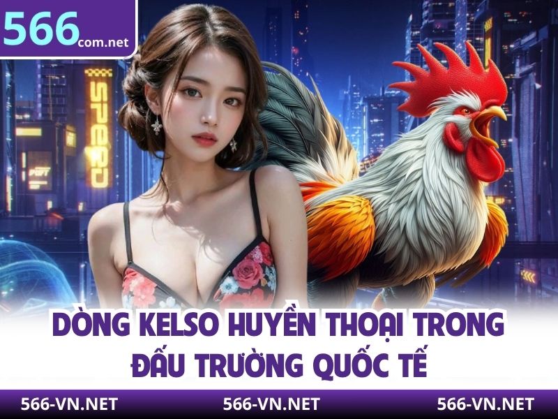 Dòng Kelso huyền thoại trong đấu trường quốc tế 