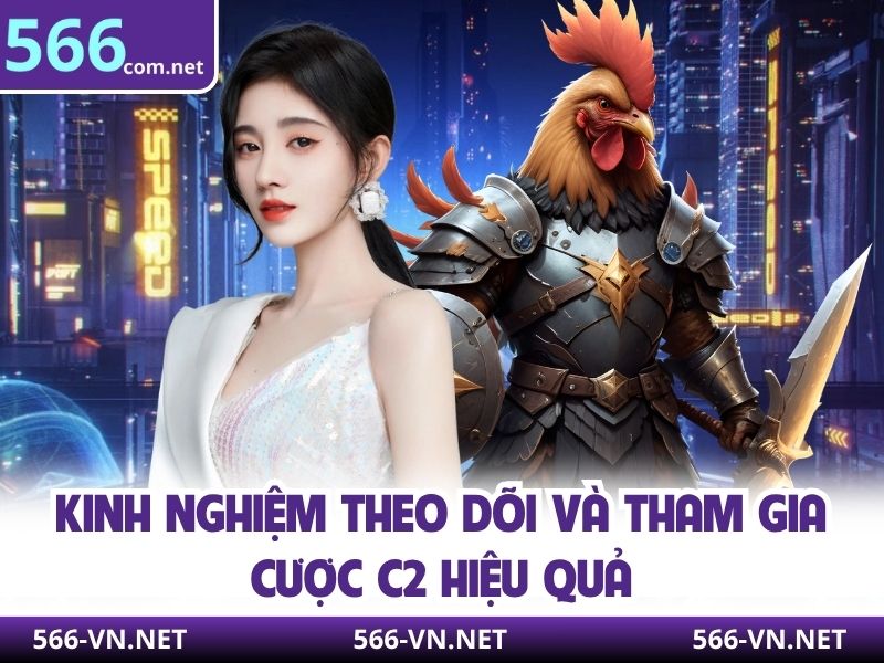 Kinh nghiệm theo dõi và tham gia cược C2 hiệu quả