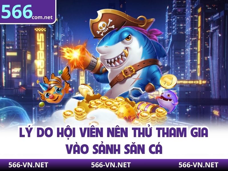 Lý do hội viên nên thử tham gia vào sảnh săn cá