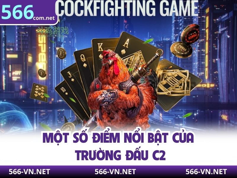 Một số điểm nổi bật của trường đấu C2