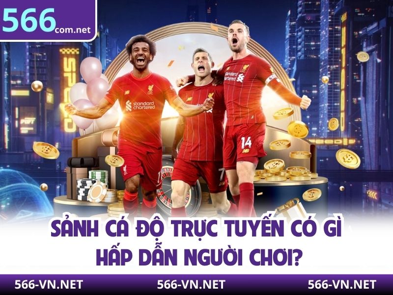 Sảnh cá độ trực tuyến có gì hấp dẫn người chơi?