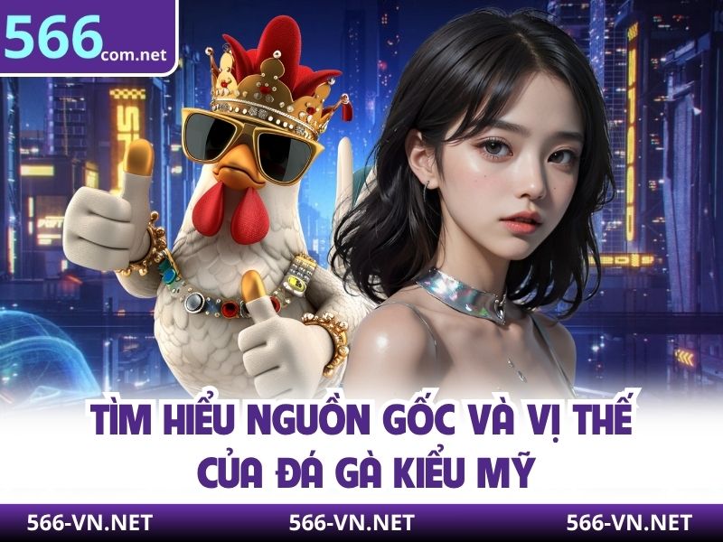 Tìm hiểu nguồn gốc và vị thế của đá gà kiểu Mỹ 