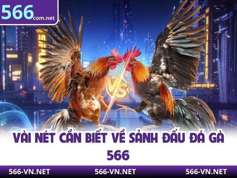 Vài nét cần biết về sảnh đấu đá gà 566